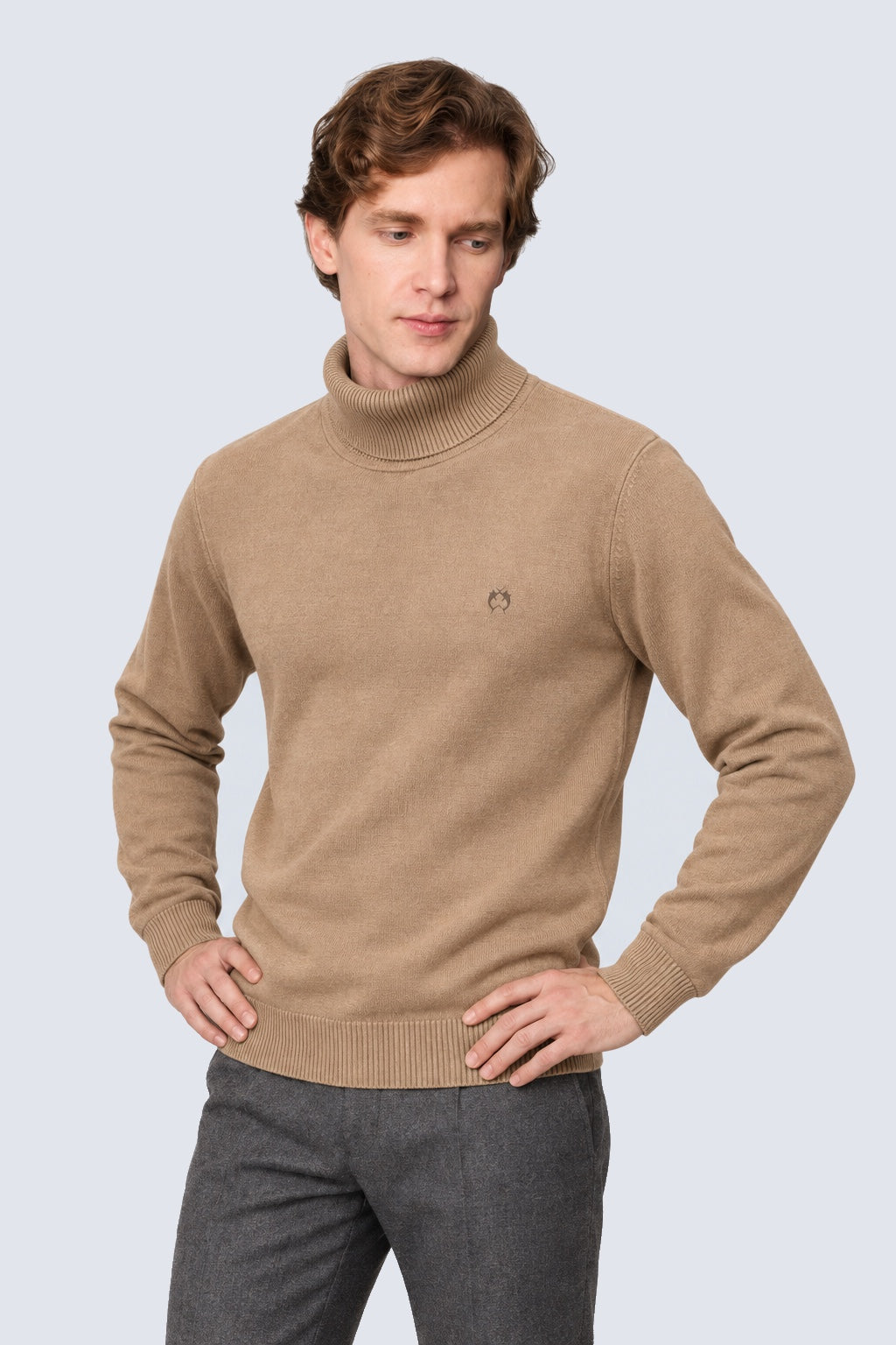 Feinstrick‑Pullover mit Rollkragen aus Baumwoll‑Acryl‑Mix in sand mel, Ansicht 2