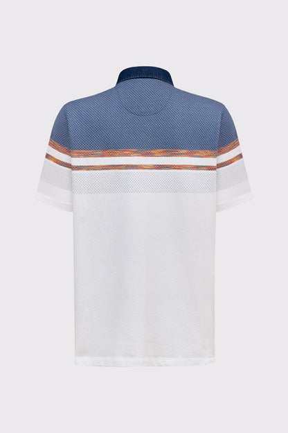 Pure cotton polo shirt with gradient design (short-sleeved)