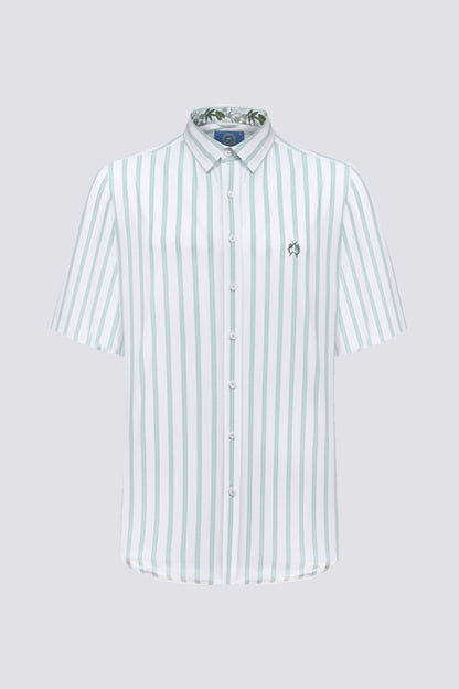 Kurzarm Button-Down-Hemd mit Stretch – Streifen Weiß/Hellgrün (Modern Fit)